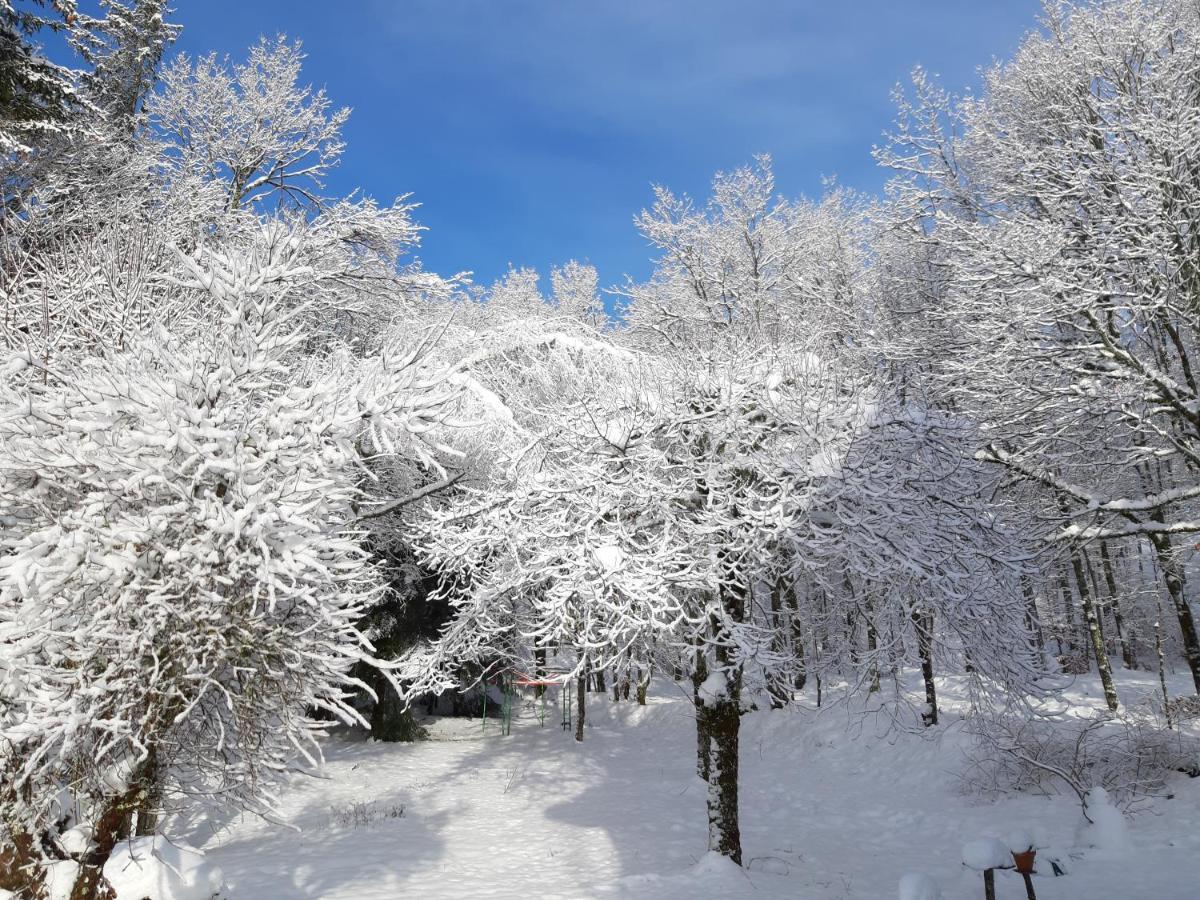 Отель Les Sentiers Du Lac Tremouille  Номер фото